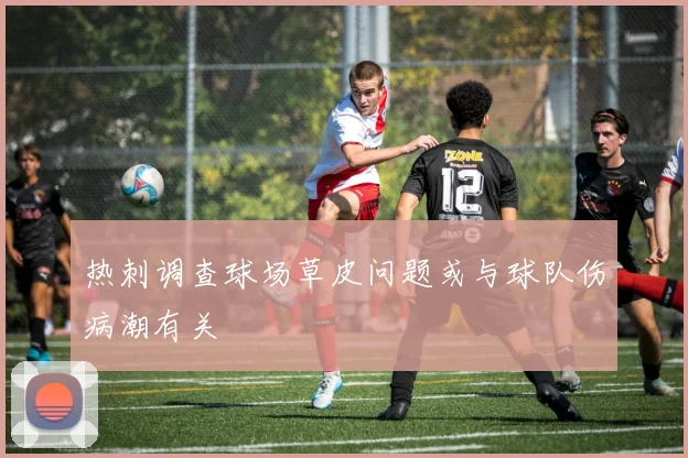 热刺调查球场草皮问题或与球队伤病潮有关