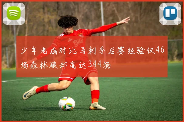 少年老成对比马刺季后赛经验仅46场森林狼却高达344场