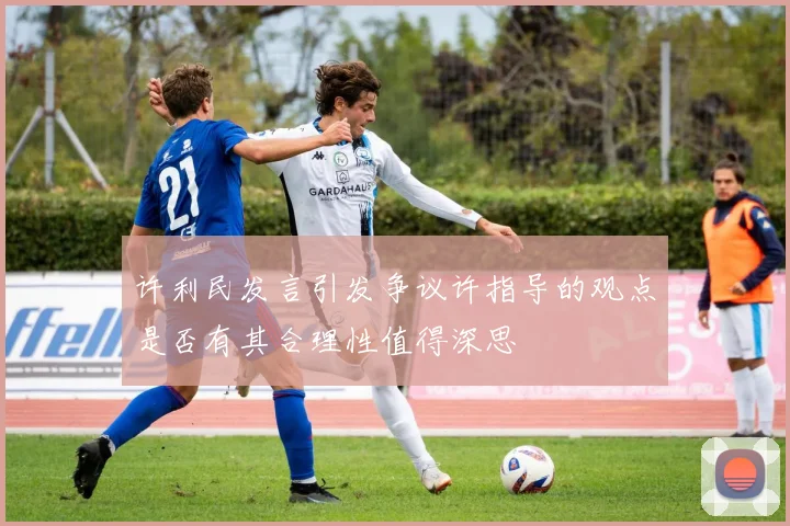 许利民发言引发争议许指导的观点是否有其合理性值得深思